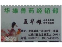 耕耘現(xiàn)代化 廣西北流市農(nóng)機化技術(shù)推廣服務(wù)站的創(chuàng)新實踐