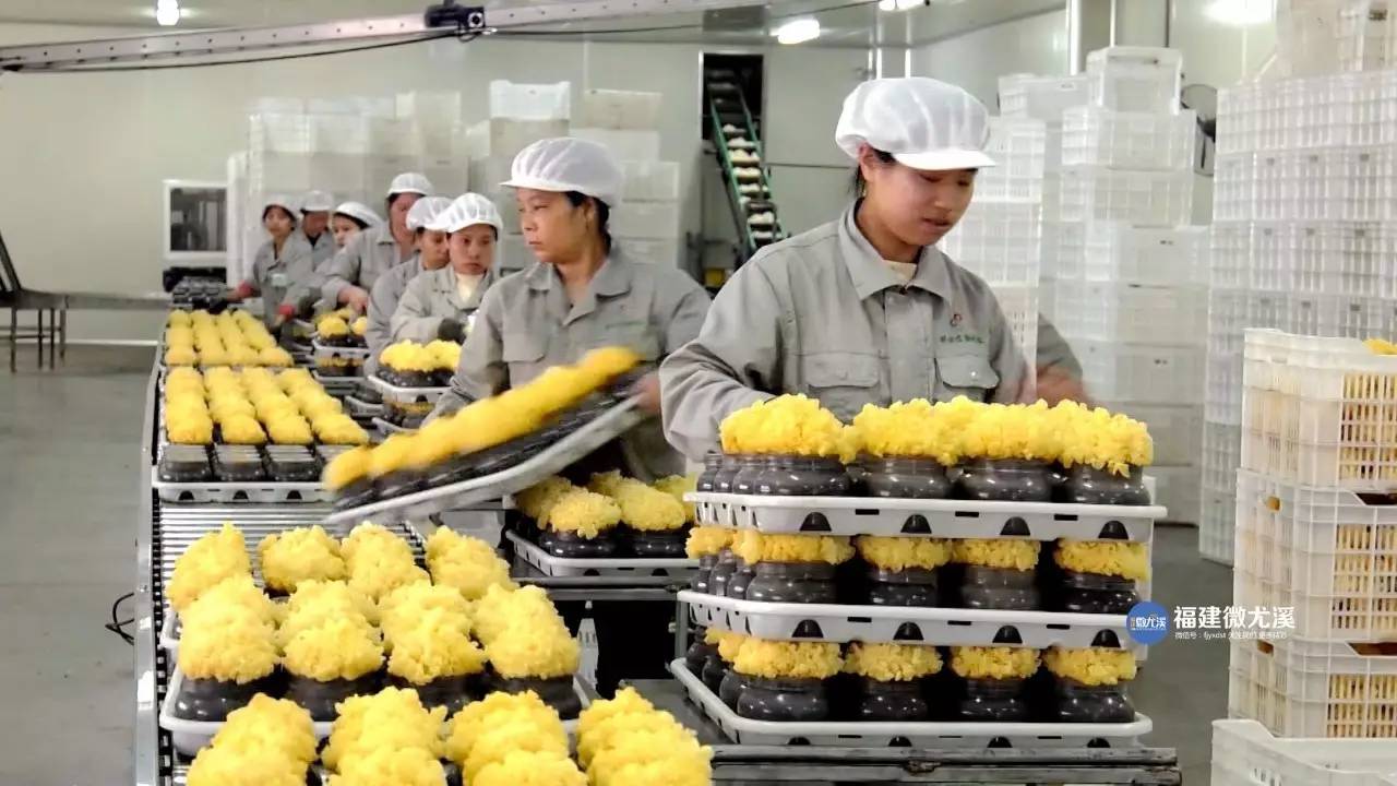 【棒棒噠】產品遠銷美國!尤溪這個特色產業走出創新路!