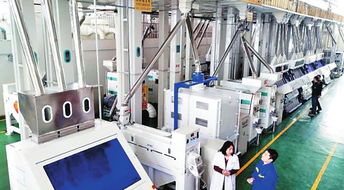 綏化經(jīng)濟(jì)社會(huì)發(fā)展穩(wěn)中向好 社會(huì)經(jīng)濟(jì)咨詢服務(wù)的賦能之路