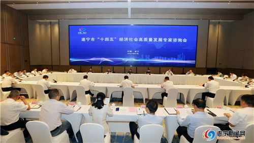擘畫(huà)藍(lán)圖聚智慧，精準(zhǔn)把脈謀發(fā)展——我市成功召開(kāi)“十四五”經(jīng)濟(jì)社會(huì)高質(zhì)量發(fā)展專家咨詢會(huì)